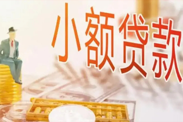 成都哪里有民间借贷-成都小额无抵押贷款-成都空放